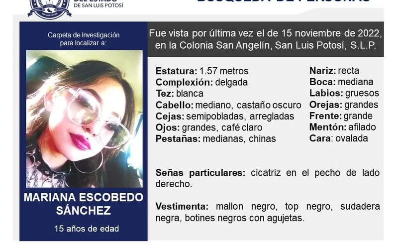 Van 20 mujeres desaparecidas en noviembre en San Luis Potosí, la mayoría son menores