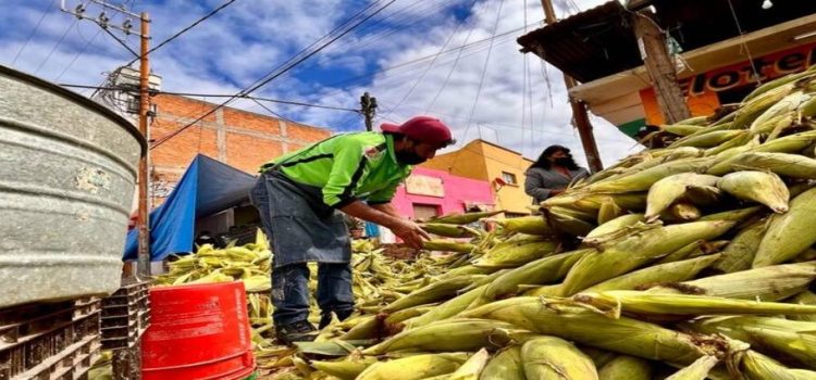 Perdida en la producción de maíz y caña por sequía prolongada en San Luis Potosí