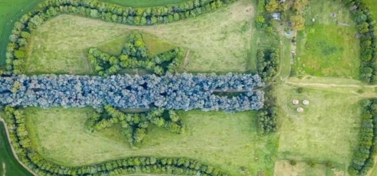 Creó un bosque con forma de guitarra en memoria de su esposa