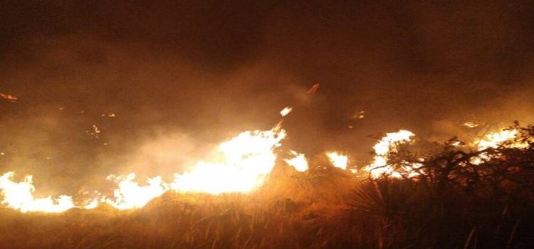 Se teme que el incendio forestal de San Luis Potosí llegue a NL