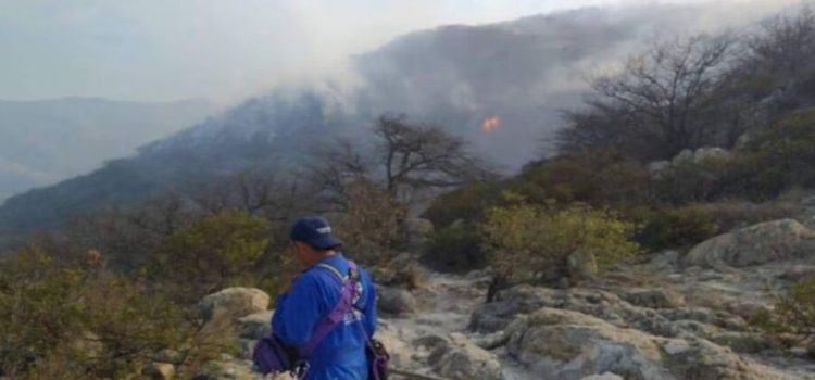 Los incendios han consumido 2 mil hectáreas de terrenos en SLP