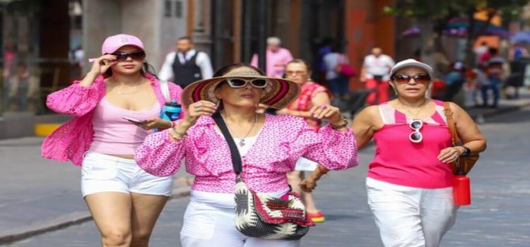 La diputada pide tener extremas precauciones ante la ola de calor en SLP