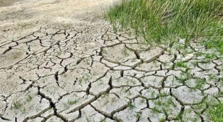 Alerta por sequía: aumentó a 89 % la superficie de México afectada por la falta de lluvia