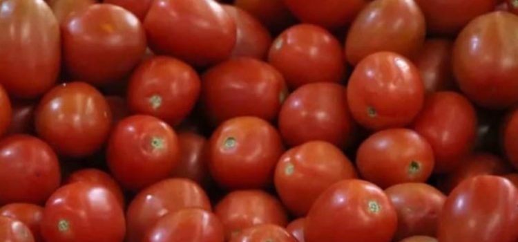 Estados Unidos impone nuevos aranceles al tomate mexicano