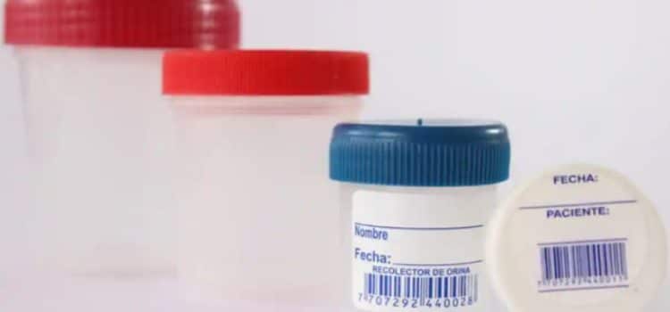 Gánate una lanita extra… vendiendo tus heces