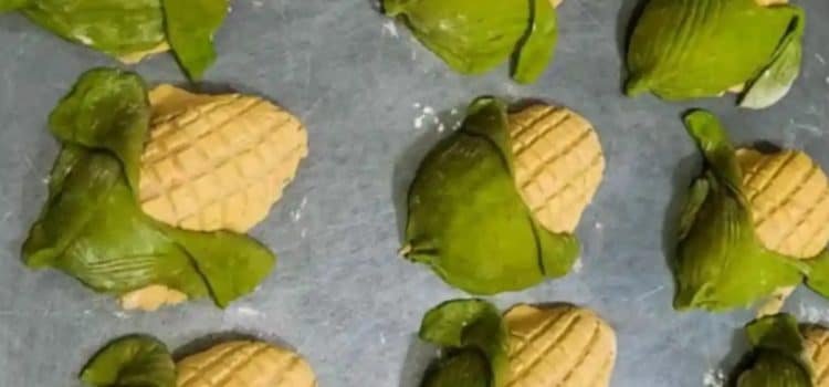 ¿Antojo? qué tal una conchaelote