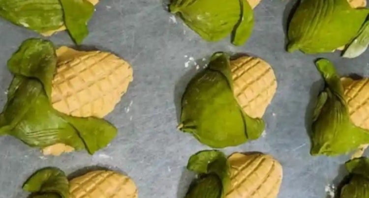 ¿Antojo? qué tal una conchaelote