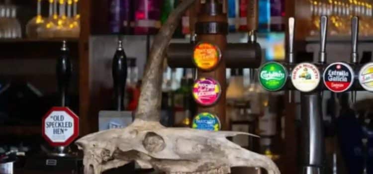 Encontró turista un “cráneo de unicornio”