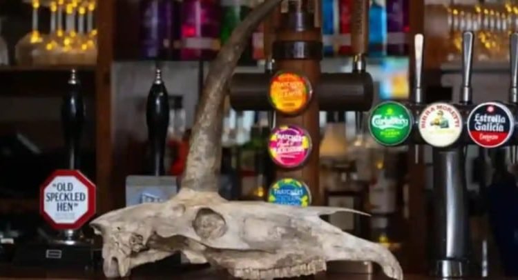 Encontró turista un “cráneo de unicornio”