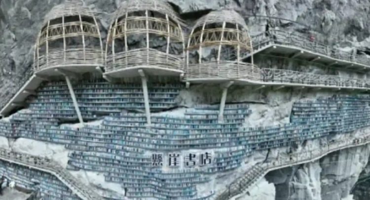 Cuando visitar la biblioteca es una actividad extrema Cuando visitar la biblioteca es una actividad extrema