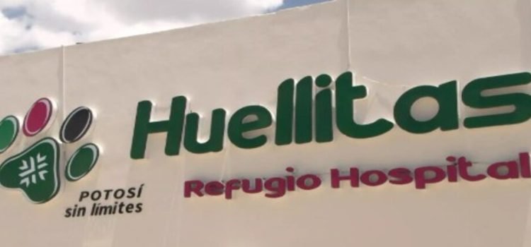 Primer santuario canino de México abre en el estado de San Luis Potosí