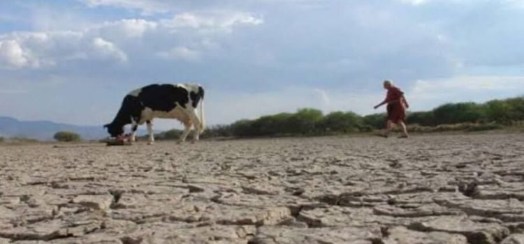 Concluye la sequía en el estado de San Luis Potosí