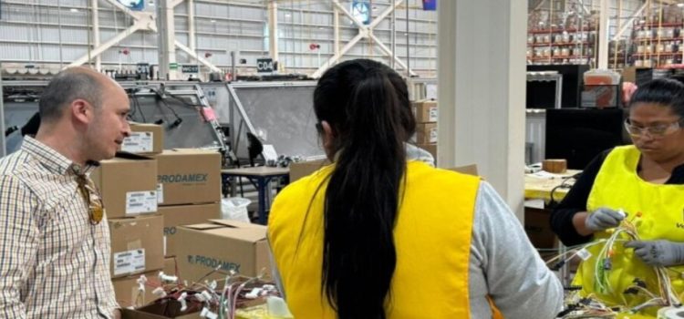 El estado de San Luis Potosí sumó más de 11 mil personas ocupadas y redujo desocupación en 2025