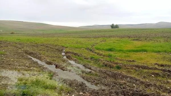 San Luis Potosí registra condiciones hídricas favorables tras lluvias recientes