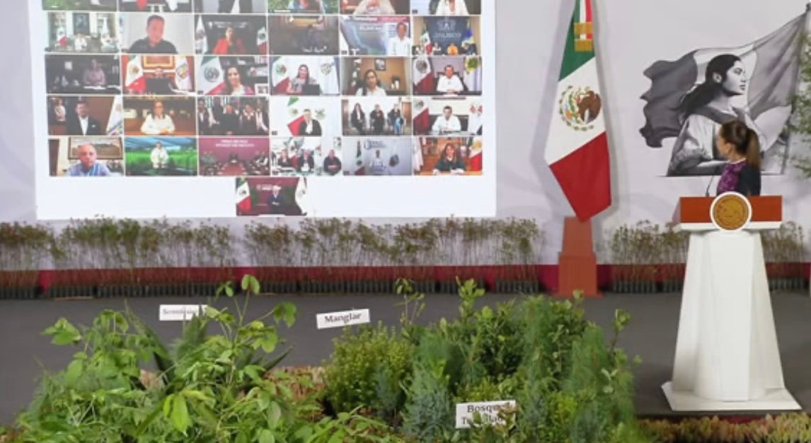 San Luis Potosí se une a campaña nacional para impulsar la reforestación